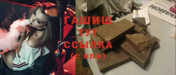индика Алагир
