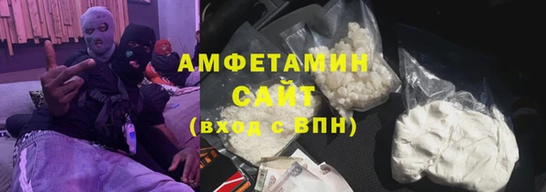индика Алагир