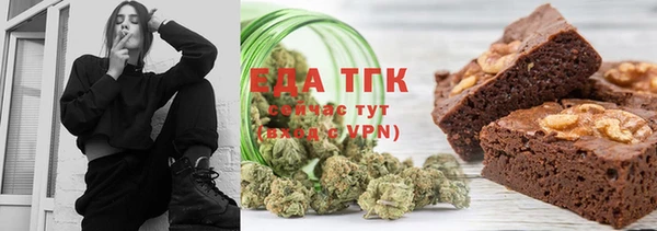 индика Алагир