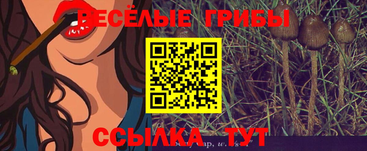 Псилоцибиновые грибы GOLDEN TEACHER  Вход с VPN  Баксан 
