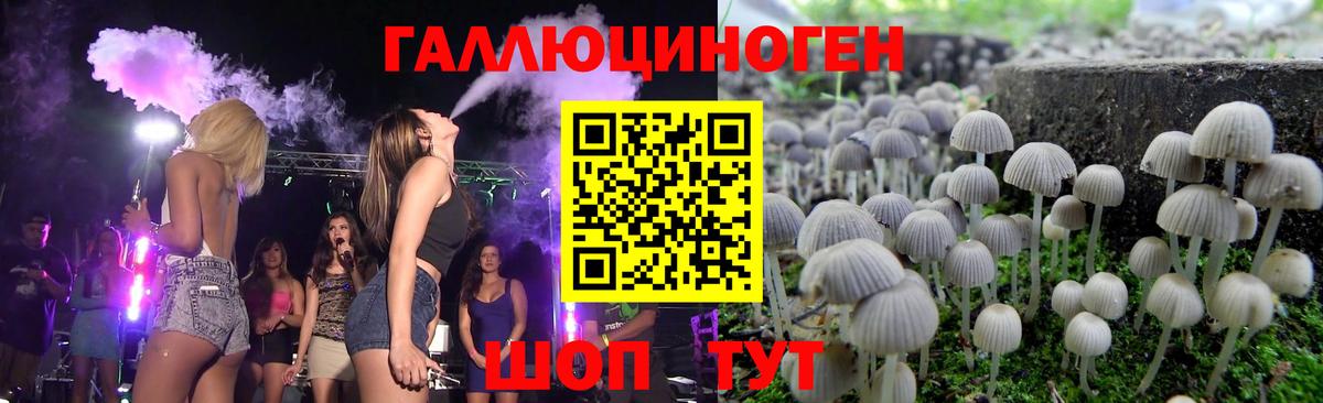 Галлюциногенные грибы Psilocybe Баксан