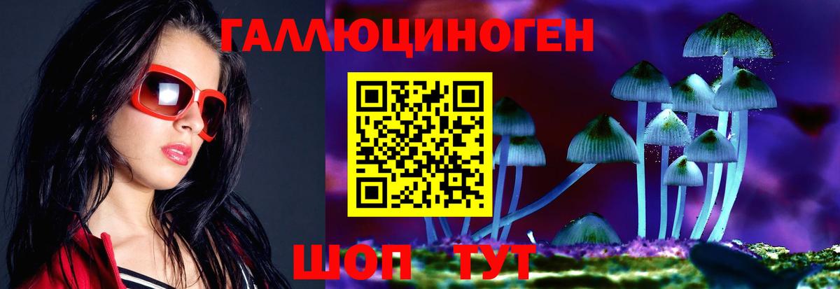 Галлюциногенные грибы Psilocybine cubensis Баксан